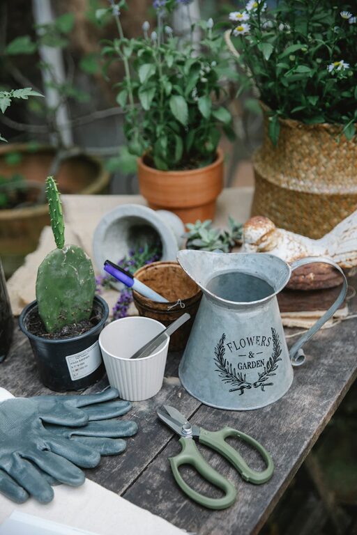 How to Start a Small Herb Garden Indoors: A Beginner’s Guide